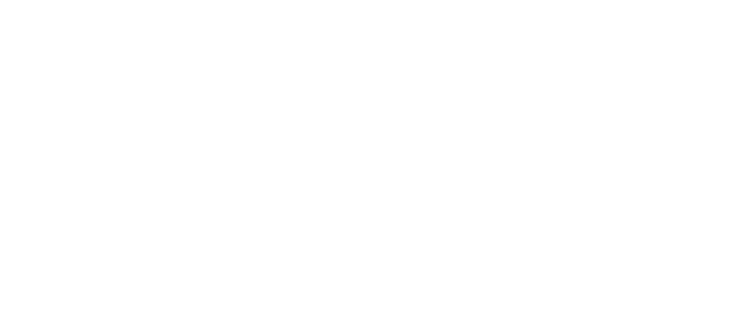 V20MM-Logo_White